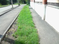 Перевод квартиры в нежилой фонд, по адресу город Ижевск, Школьная 25