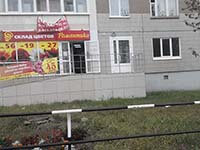 Пушкинская, 283-1